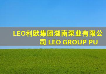 LEO利欧集团湖南泵业有限公司 LEO GROUP PU